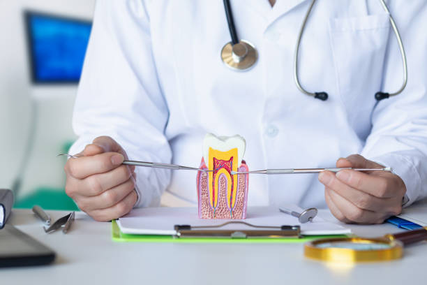 Best Broken or Chipped Tooth Repair in Golden Gate, FL